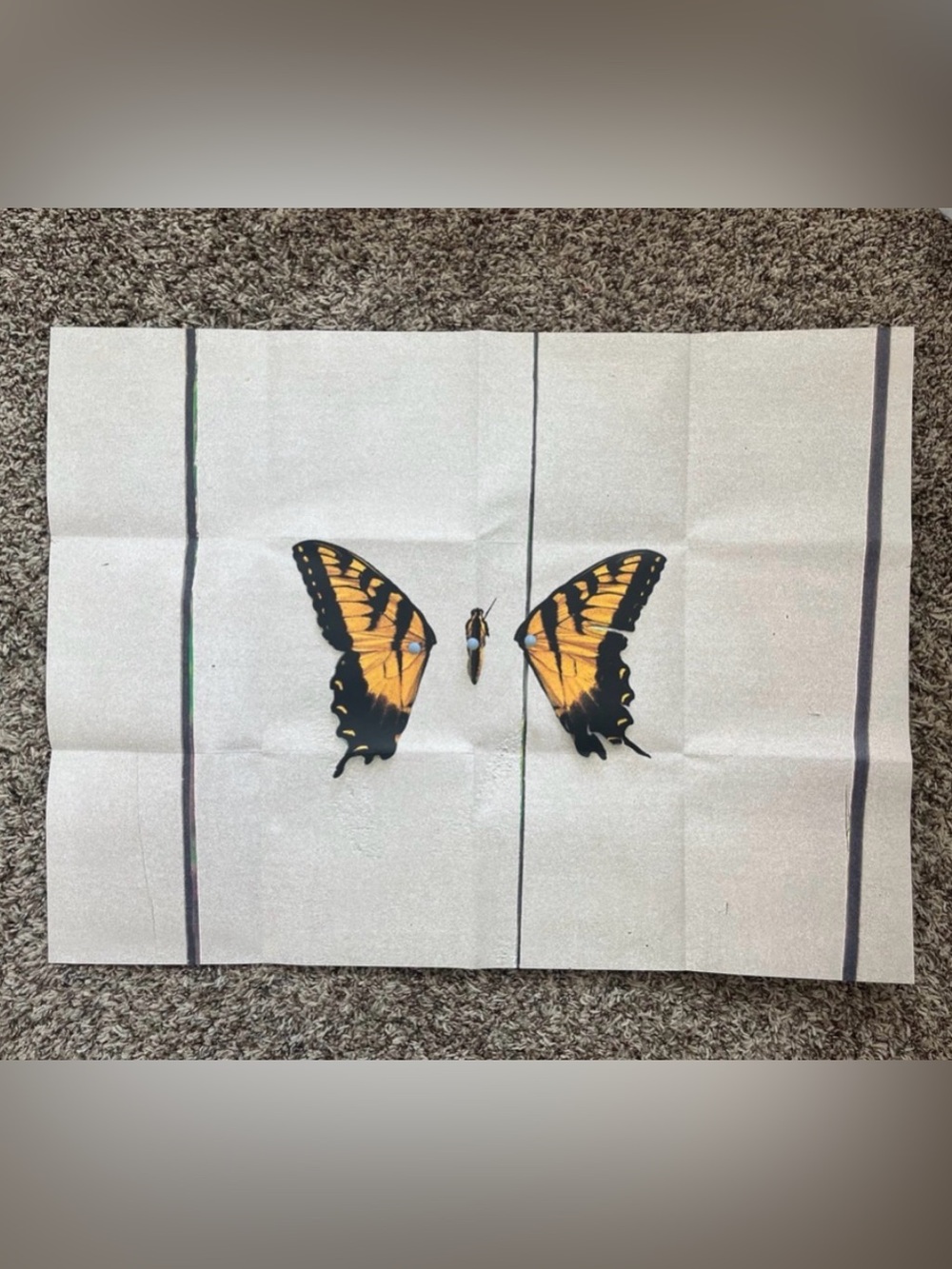 COMPLETE! Paramore | “Brand New Eyes” (Limited Edition Box Set) (2009) - Picture 10 of 16